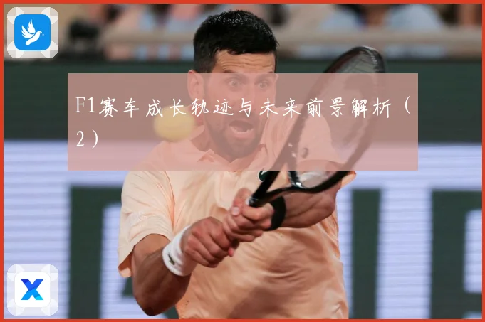 F1赛车成长轨迹与未来前景解析（2）