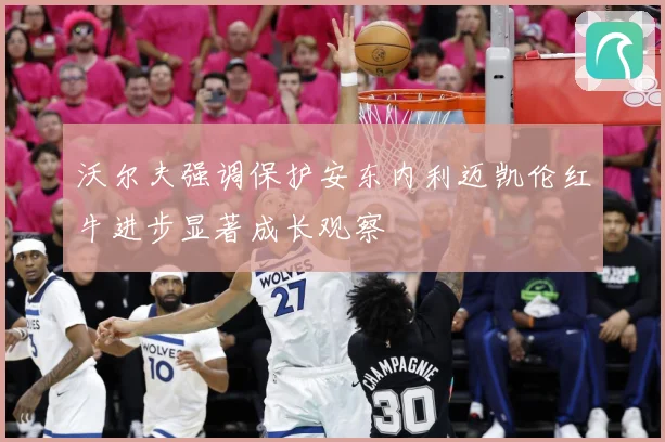 沃尔夫强调保护安东内利迈凯伦红牛进步显著成长观察