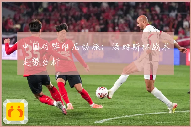 中国对阵印尼劲旅：汤姆斯杯战术走势分析