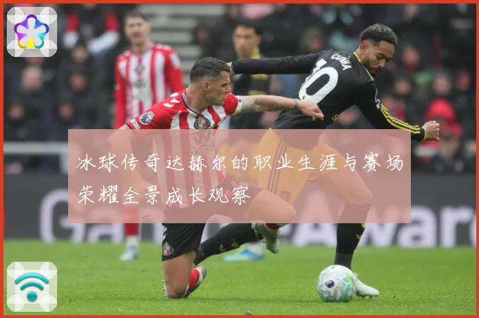 冰球传奇达赫尔的职业生涯与赛场荣耀全景成长观察
